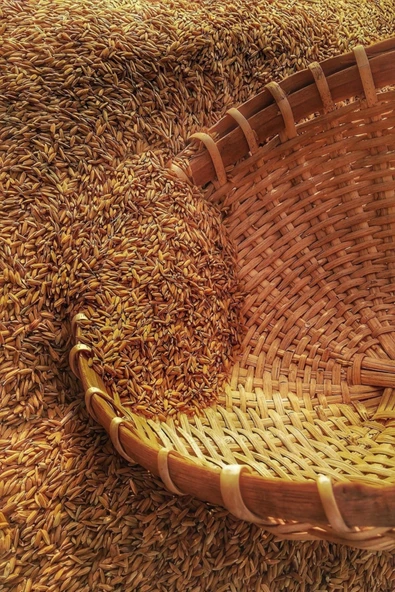 Çinko Sülfat Gübresi (çinko Sülfat Heptahidrat) Çinko Tuzu - 5 Kg BÜYÜK AMBALAJDAN BÖLÜNEREK YOLLANIR - 6
