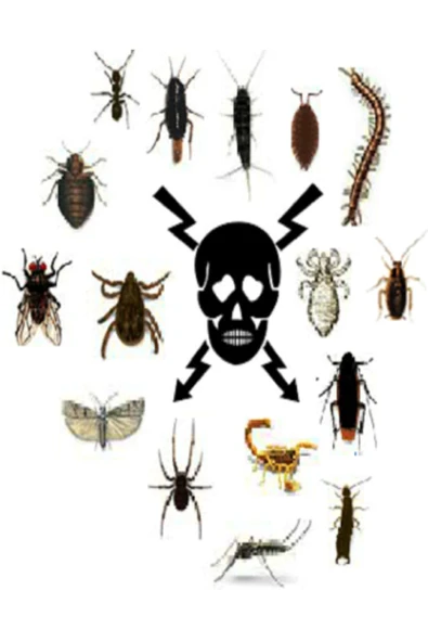 Belsav Neo Rok Ec-hamamböceği Sivrisinek Haşere Ilacı 100 Ml Pire, Bit, Kene, Tahtakurusu, Hamam, Gümüş - 2