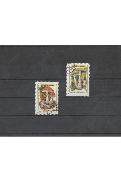 Escoines Koleksiyon 39963682a45c677bb5 1986 damgalı bitki temalı cccp pulları ürün görseli 1