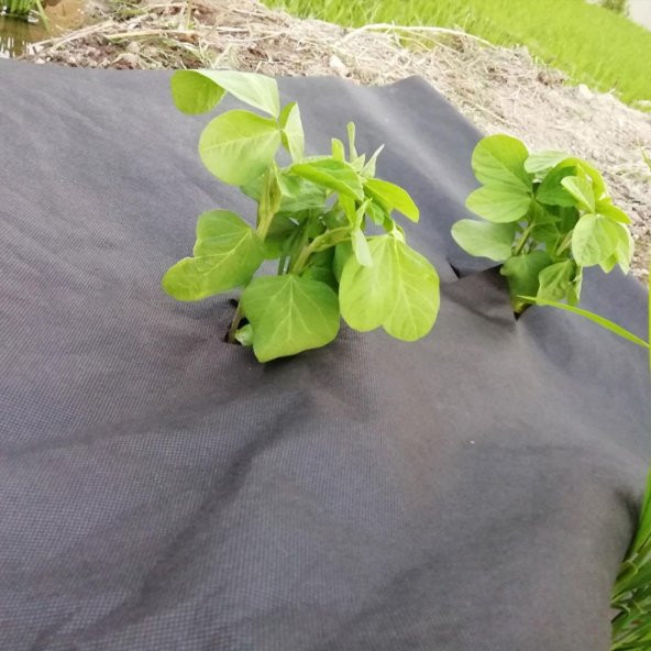 60cmX600M SİYAH TEKSTİL MULCH SİYAH AGRİL 28 GR TARIMSAL OT ÖRTÜSÜ ISI DON PERDESİ KARPUZ ÇİLEK ÖRTÜSÜ, SERA TOPRAK ÖRTÜSÜ - Resim 4