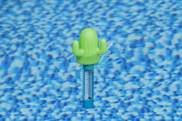 Bestway® 58763 Dekoratif Havuz Termometresi - 3