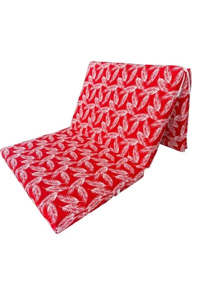 Vip Home Concept Market Ürünleri Katlanır Yer Yatağı (8 CM KALIN)Sünger Yatak 80x180x8 CM-KIRMIZI TÜY ürün görseli 1