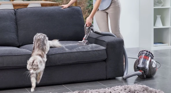 DYSON CINETIC BIG BALL ABSOLUTE 2 700W SUPURGE - 5