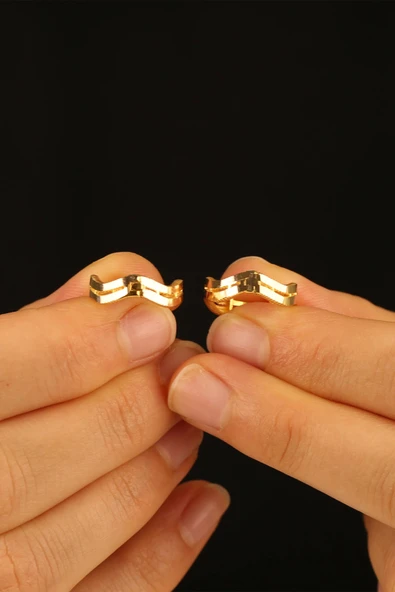 14 Ayar Zikzak Ajda 2 Sıra Altın Küpe - 2