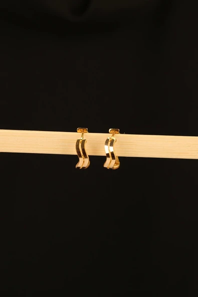 14 Ayar Zikzak Ajda 2 Sıra Altın Küpe - 3