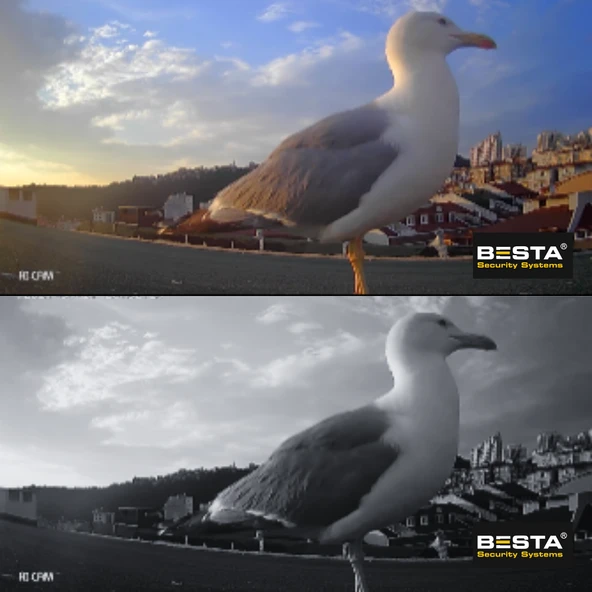 ARNA 5 MP LENS 2MP 1080P FULL HD İÇ MEKAN DOME GÜVENLİK KAMERA SETİ 1 TB HDD DAHİL - ST241K - 2
