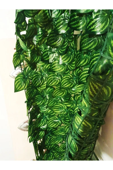 BotanikBahçem Yeşil Yapraklı Bahçe Çiti Dekoratif Yoğun Sarmaşık Çit Bahçe Paravan Çit 100*300 Cm - 2