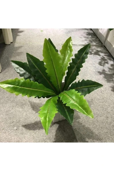 fesleğen çiçek Yapay Çiçek Kraton Yaprağı 11 Dal 45 Cm - 2