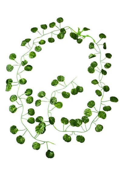 fesleğen çiçek Yapay Sarmaşık Yuvarlak Model 230 Cm 12 Adet - 3