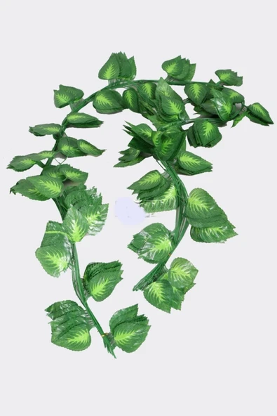 fesleğen çiçek 12 Adet Yapay Sarmaşık Oval Model 225 Cm - 2