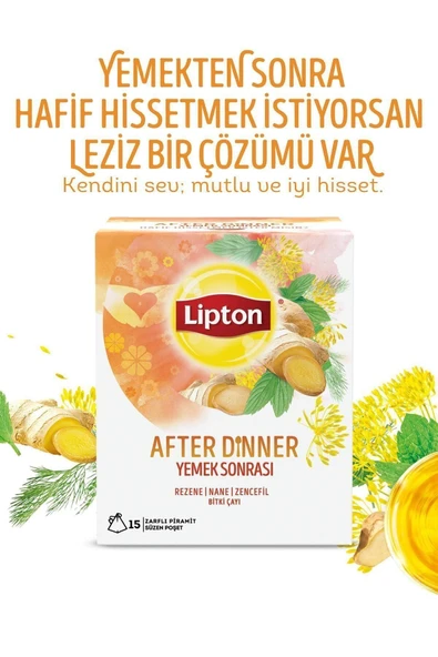 Lipton After Dinner Bardak Poşet Bitki Çayı 15'li X 2 Adet - Resim 2