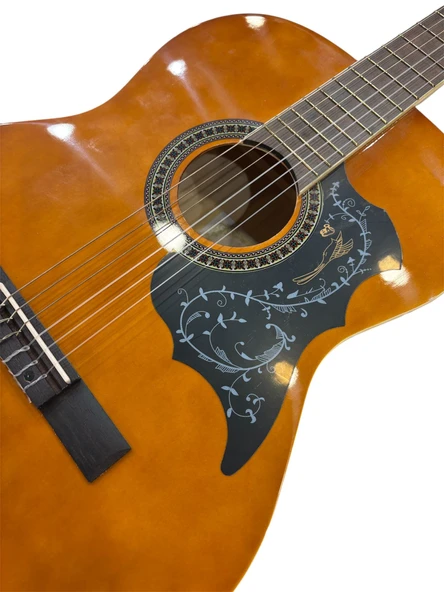 GRAPE 4/4 KLASİK GİTAR EC-309WA - Resim 3