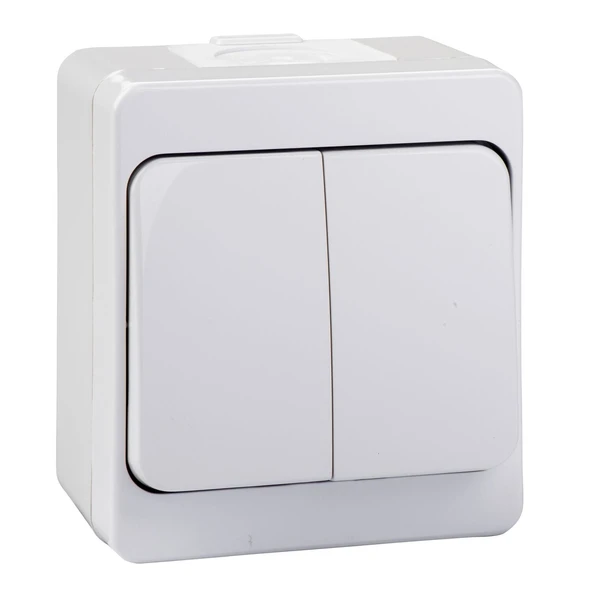 Schneider Nemliyer İkili Anahtar Komütatör Sıva Üstü - NML0300121 ürün görseli 1