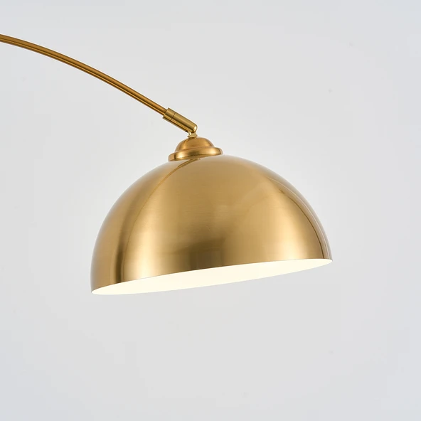 Apliqa Liona Eskitme Kaplamalı Deve Boynu Lambader - Resim 4