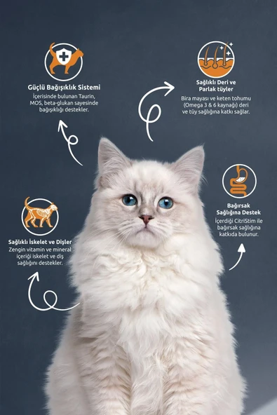Reflex Sterilised Somonlu Ve Pirinçli Kısırlaştırılmış Kedi Maması 15 Kg - 3