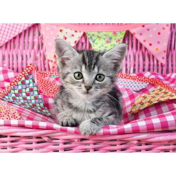 129850 Cute Kitty 100 parça XXL Ravensburger Puzzle - 2