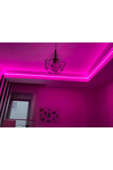 Pembe Renk 12v Neon Led (5 METRE) - Resim 3