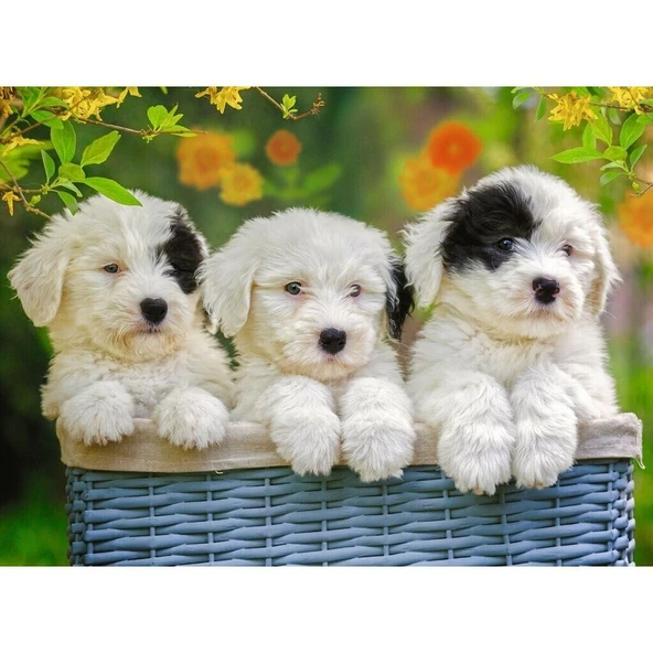 127658 Cuddly Puppies 200 parça XXL Ravensburger Puzzle - 2
