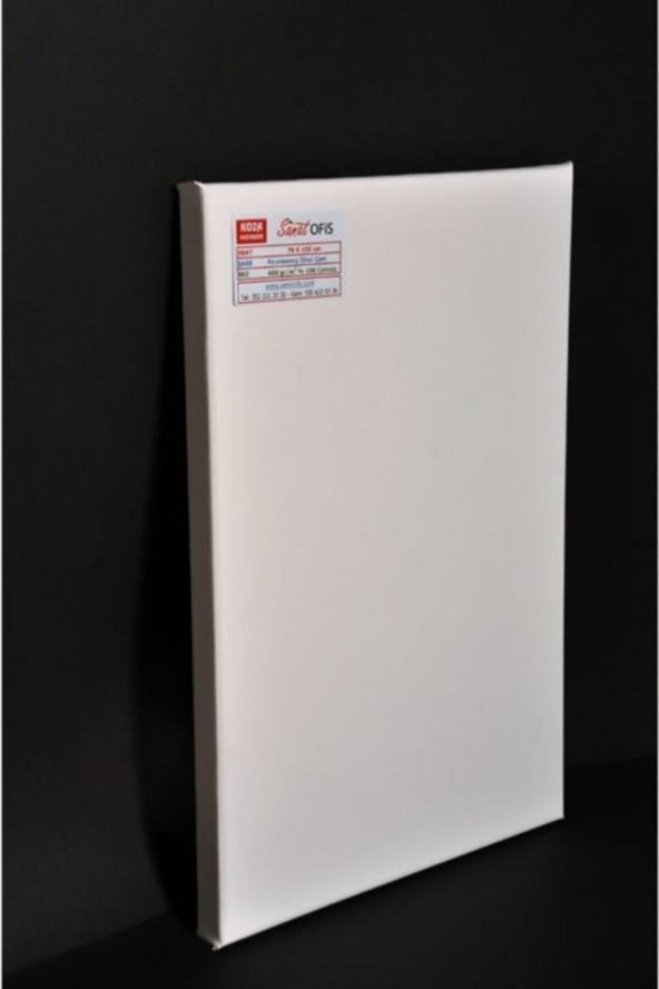 Koza Sanatofis 70 X 100 Cm Profesyonel Tuval