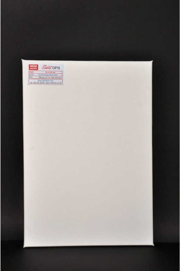 Koza 25 X 35 Cm Profesyonel Tuval