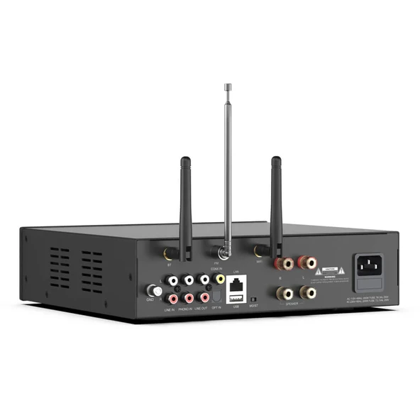 Arylic A100 Stream Amfi - 4