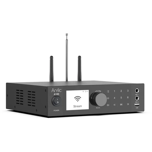 Arylic A100 Stream Amfi - 9
