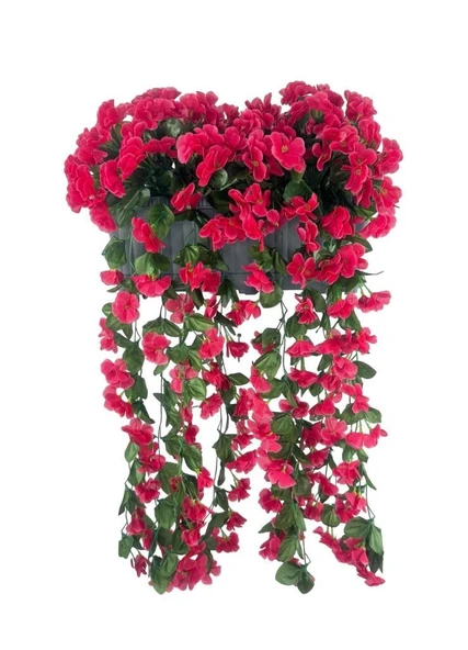 Nettenevime Yapay Çiçek Fuşya Begonvil Sarkan Menekşe Antrasit Küpeşte Askılı Saksıda Balkon Çiçeği Çiçek Sepeti