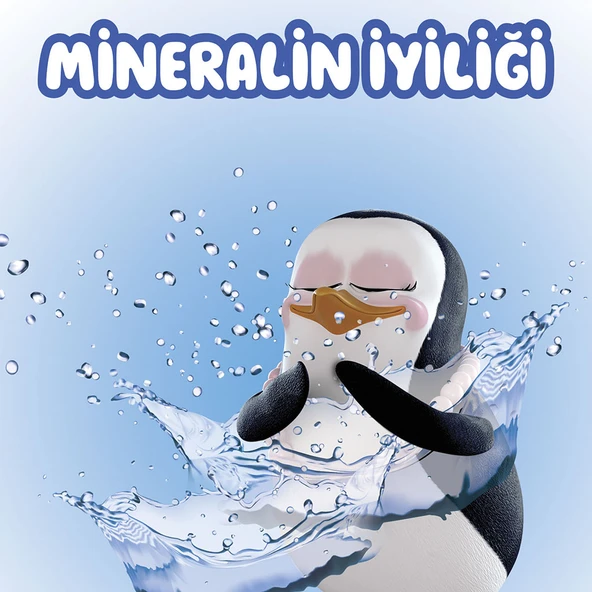 Familia Islak Havlu Mineralli 18x90lı (1620 Yaprak) - Resim 3