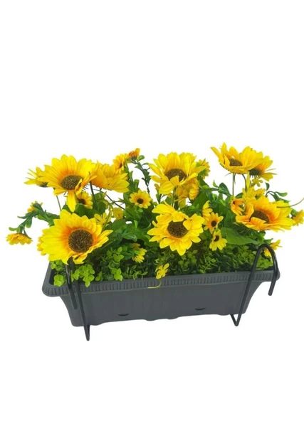 Nettenevime Yapay Çiçek Ay Çiçeği Antrasit Küpeşte Askılı Saksıda Balkon Çiçeği - Resim 3