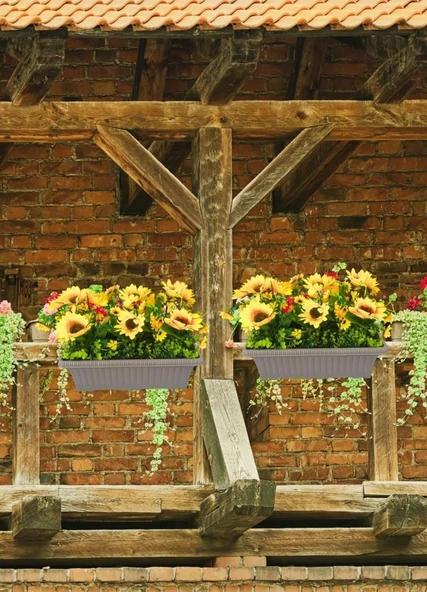 Nettenevime Yapay Çiçek Ay Çiçeği Mokka Küpeşte Askılı Saksıda Balkon Çiçeği - Resim 2