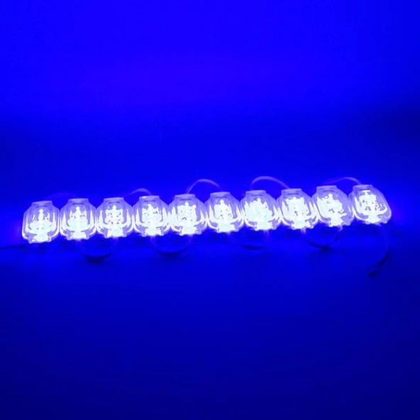Powermaster 12 Volt 0.6 Watt Mavi 2835 65 X 25 Mm IP65 120 Lümen 160 Derece Modül Led - 2
