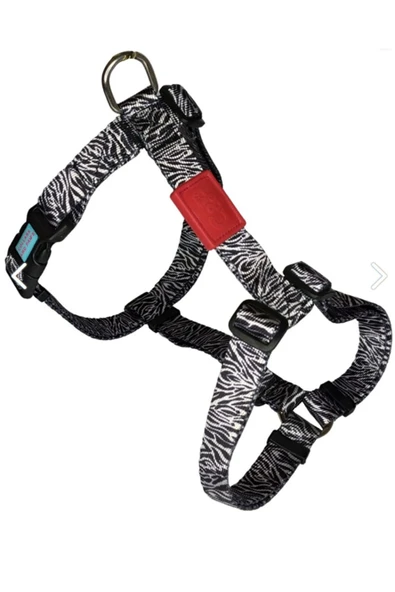 collars and paws Köpek Tasması Harnes Zebra (h Tipi) ürün görseli 1
