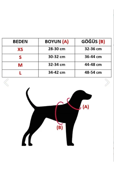collars and paws Köpek Tasması Hernes Notes (h Tipi) - 2
