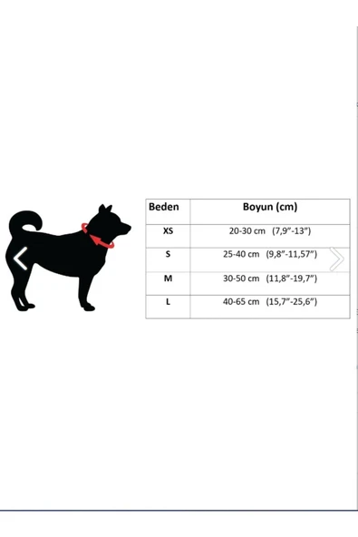 collars and paws Köpek Boyun Tasması Meteor - 2