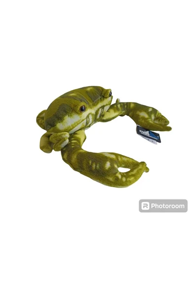 STRONG CLAWS PELÜŞ YENGEÇ KÖPEK OYUNCAĞI 30 CM
