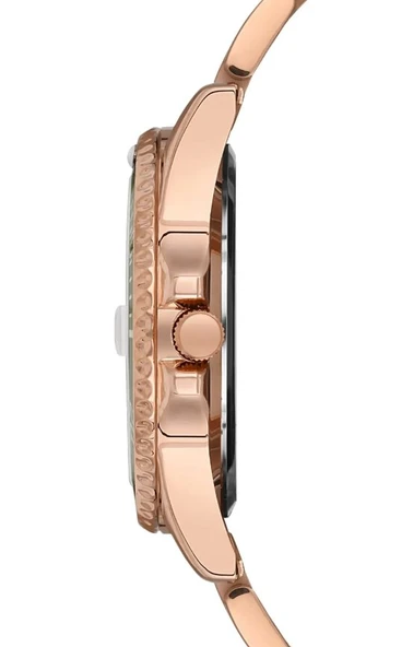 TF-589MRY TIGER ÇELİK ERKEK SAATİ - Resim 2