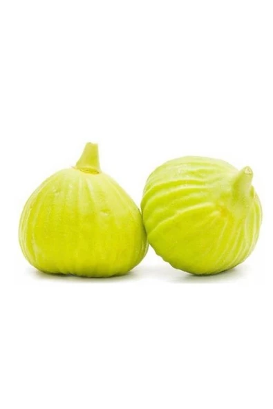 TAŞKAR PEYZAJ Beyaz Incir Beyaz Incir ( Yediveren ) Fidanı \ 50-70 Cm ) - Resim 2