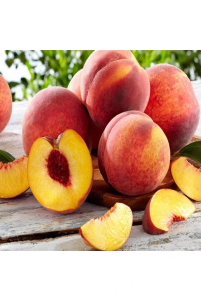 TAŞKAR PEYZAJ Royal Glory Şeftali Fidanı Aşılı ( 2 Yaş \ Tüplü\ 80-100 Cm ) ürün görseli