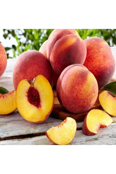 TAŞKAR PEYZAJ Royal Glory Şeftali Fidanı Aşılı ( 2 Yaş \ Açık Köklü \ 80-100 Cm ) ürün görseli 1