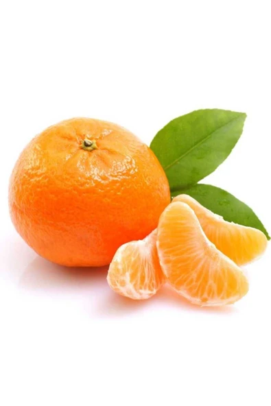 TAŞKAR PEYZAJ Mandalina Fidanı ( Aşılı ) - Tüplü 80-100 Cm ürün görseli 1