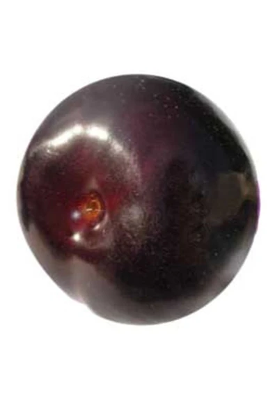 TAŞKAR PEYZAJ Black One Erik Fidanı Aşılı ( 2 Yaş \ Açık Köklü \ 80-100 Cm ) ürün görseli