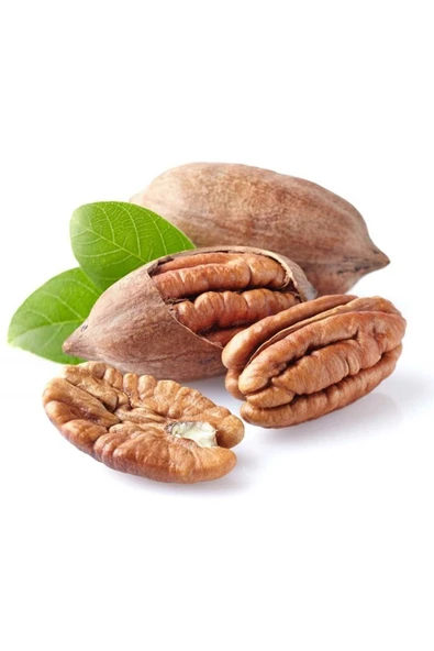 TAŞKAR PEYZAJ PİKAN CEVİZ FİDANI ( 40-80 CM )TÜPLÜ ürün görseli