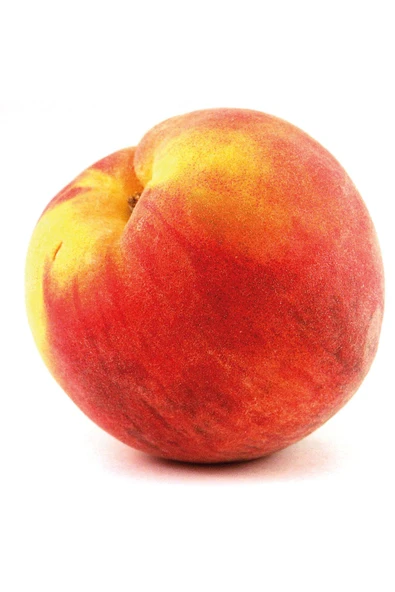 TAŞKAR PEYZAJ Glohaven Şeftali Fidanı Aşılı ( 2 Yaş \ Tüplü \ 80-100 Cm ) ürün görseli