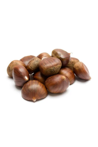 TAŞKAR PEYZAJ Anadolu Kestane Fidanı Aşılı ( Açık Köklü \ 70-100 Cm ) ürün görseli