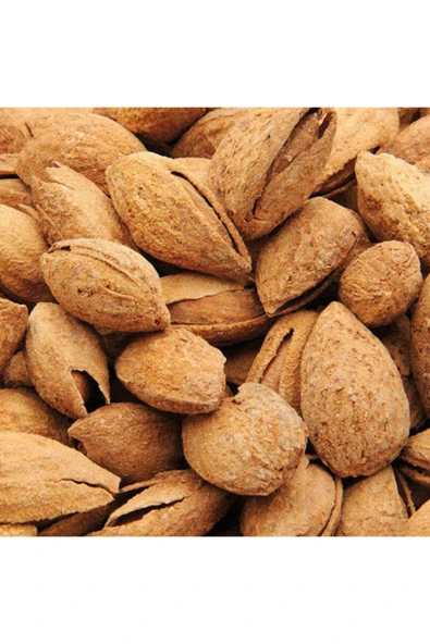 TAŞKAR PEYZAJ Supernova Badem Fidanı Aşılı ( Tüplü \ 80-100 Cm ) - Resim 2