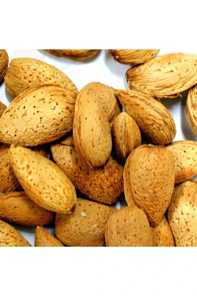 TAŞKAR PEYZAJ Ferragnes Badem Fidanı Aşılı ( Açık Köklü \ 80-100 Cm ) ürün görseli