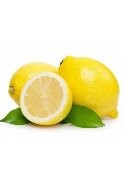 TAŞKAR PEYZAJ Yediveren Limon Fidanı ( Aşılı ) - Tüplü 100-120 Cm ürün görseli