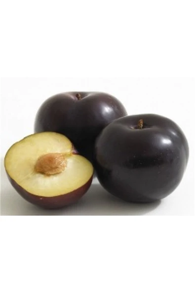 TAŞKAR PEYZAJ Black Amber Erik Fidanı Aşılı ( 2 Yaş \ Açık Köklü\ 80-100 Cm ) ürün görseli