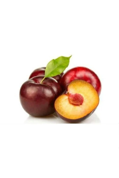 TAŞKAR PEYZAJ Larry Erik Fidanı ( Aşılı - 2 Yaş - Tüplü ) 100-150 Cm ürün görseli