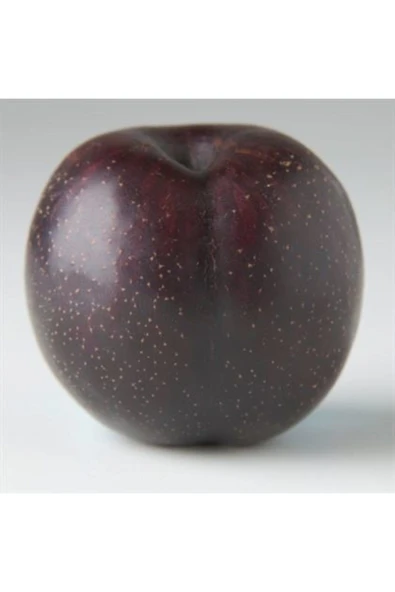 TAŞKAR PEYZAJ Black One Erik Fidanı Aşılı ( 2 Yaş \ Tüplü \ 80-100 Cm ) - Resim 2